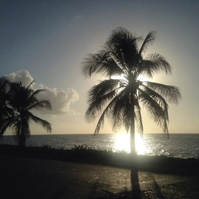 Pensión Sarie Bay Inn San Andrés